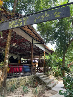 Nest Jungle